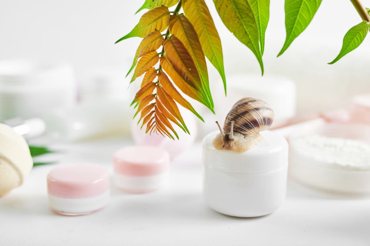 Snail skin care benefits